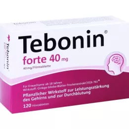 TEBONIN forte 40 mg film kaplı tablet, 120 adet