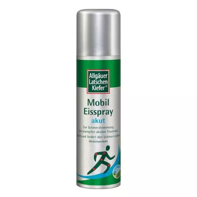 ALLGÄUER LATSCHENK. mobil buz spreyi akut, 150 ml