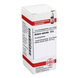 ACTAEA SPICATA D 6 globül, 10 g