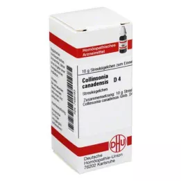 COLLINSONIA CANADENSIS D 4 globül, 10 g