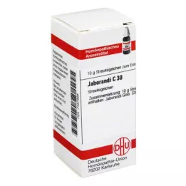 JABORANDI C 30 globül, 10 g