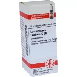 LACHNANTHES tinctoria C 30 globül, 10 g