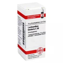 LACHNANTHES tinctoria C 30 globül, 10 g