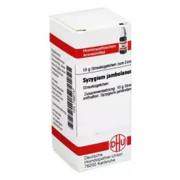 SYZYGIUM JAMBOLANUM D 6 globül, 10 g