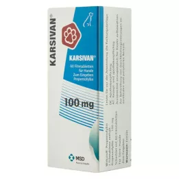 KARSIVAN Köpekler için 100 film kaplı tablet, 60 adet