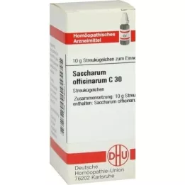 SACCHARUM OFFICINARUM C 30 globül, 10 g