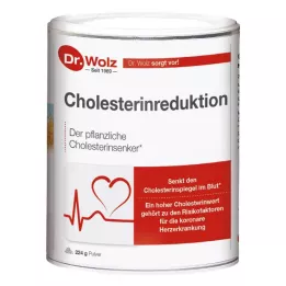 CHOLESTERINREDUKTION Dr.Wolz tozu, 224 g