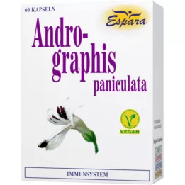 ANDROGRAPHIS paniculata kapsülleri, 60 adet