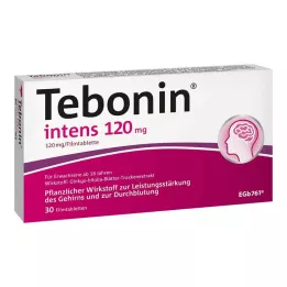 TEBONIN yoğun 120 mg film kaplı tabletler, 30 adet