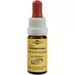 BACHBLÜTEN Murnauer Star of Bethlehem damla, 20 ml
