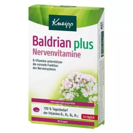 KNEIPP Kediotu artı sinir vitaminleri kaplı tabletler, 40 adet