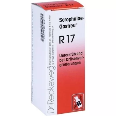 SCROPHULAE-Gastreu R17 karışımı, 50 ml