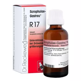 SCROPHULAE-Gastreu R17 karışımı, 50 ml