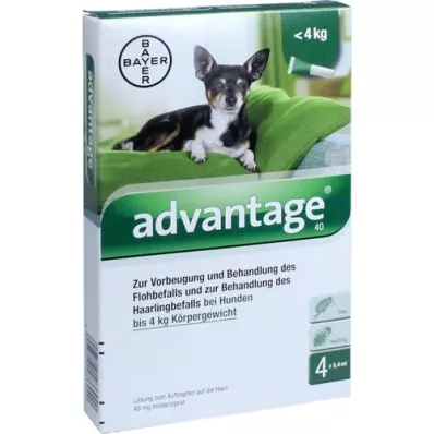 ADVANTAGE 4 kga kadar köpekler için 40lık solüsyon, 4 adet