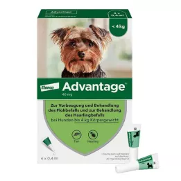 ADVANTAGE 4 kga kadar köpekler için 40lık solüsyon, 4 adet