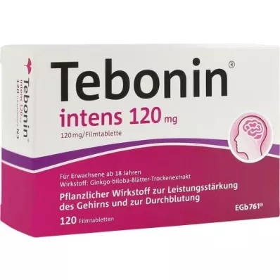 TEBONIN intens 120 mg film kaplı tabletler, 120 adet