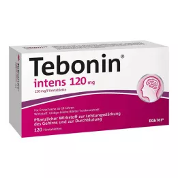 TEBONIN intens 120 mg film kaplı tabletler, 120 adet