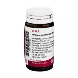ARNICA E Planta tota D 4 globül, 20 g