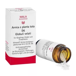 ARNICA E Planta tota D 6 globül, 20 g