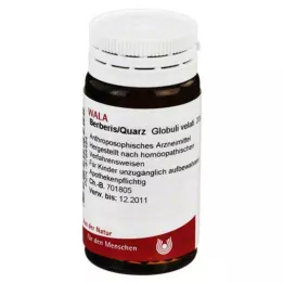 BERBERIS/QUARZ Globül, 20 g