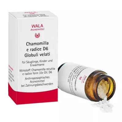Chamomilla E Radix D 6 kürecik, 20 g Chamomilla E Radix D 6 kürecik, 20 g