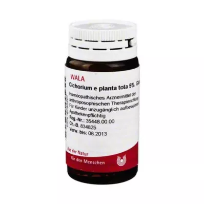 Cichorium E Planta Tota %5 G, 20 gr Cichorium E Planta Tota %5 G, 20 gr