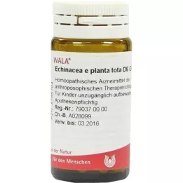 ECHINACEA E planta tota D 6 globül, 20 g