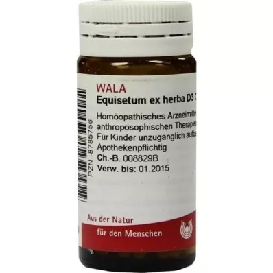EQUISETUM EX Herba D 3 globül, 20 g