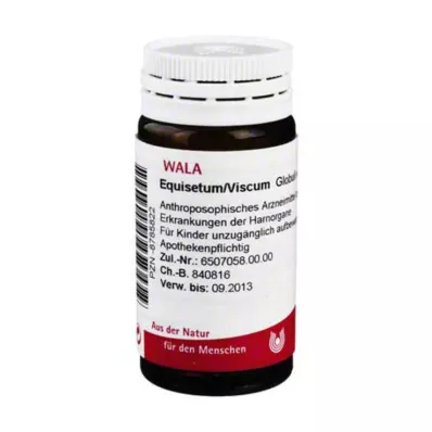 Equisetum / Viscum Kürecikleri, 20 gr