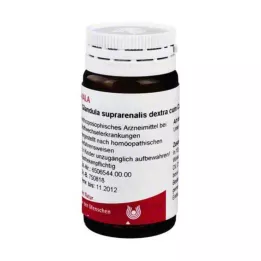 GLANDULA SUPRARENALIS dextra cum Cupro globules, 20 g
