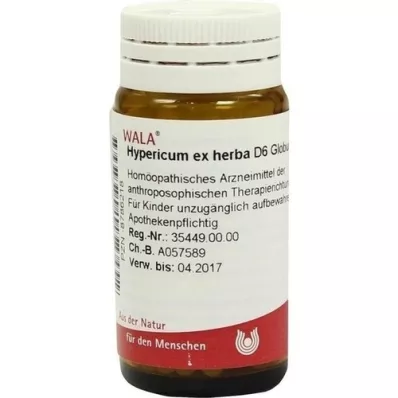 HYPERICUM EX Herba D 6 globül, 20 g