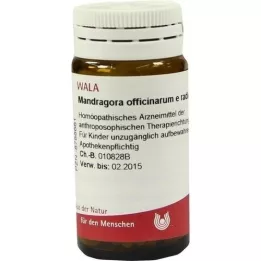 MANDRAGORA OFFICINARIUM e radice D 6 globül, 20 g