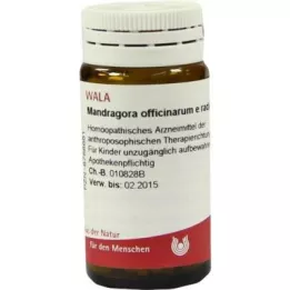MANDRAGORA OFFICINARIUM e radice D 6 globül, 20 g