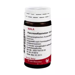 PANCREAS/EQUISETUM Globül, 20 g