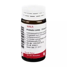 PRIMULA COMP.Globül, 20 g