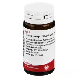 TESTES COMP.Globül, 20 g