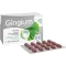 GINGIUM 40 mg film kaplı tabletler, 120 adet