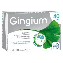 GINGIUM 40 mg film kaplı tabletler, 120 adet