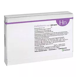 Helleborus Nijer aquosus D20 ampuller (50 adet)