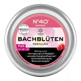 Dr.Bacha göre Energy Bach çiçek pastilleri, 50 g