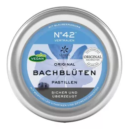 Kendine güven Bach çiçek pastili. Dr.Bacha göre 50 gr