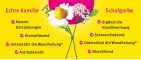 Instructions for use for Kamillan® sıvı, 10 ml - 2