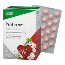 PROTECOR Cardiovascular Tabl.z.Funktionsunt.Salus, 250 St