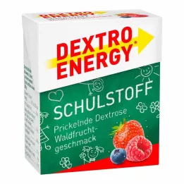 DEXTRO ENERGY Schulstoff orman meyvesi tableti, 50 g