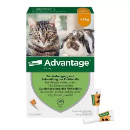 ADVANTAGE Küçük kediler/küçük süs tavşanları için 40 mg çözelti, 4X0,4 ml