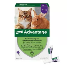 ADVANTAGE Büyük kediler ve büyük süs tavşanları için 80 mg, 4X0,8 ml
