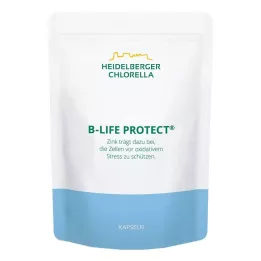 B-LIFE Protect Kapsüller, 360 Kapsül