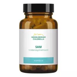 SAM S-ADENOSYLMETHIONIN Kapsül, 60 Kapsül