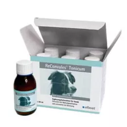 RECONVALES Köpekler için tonik, 6X90 ml