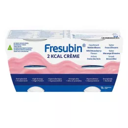 FRESUBIN 2 kcal küvet içinde yabani çilekli krema, 4X125 g